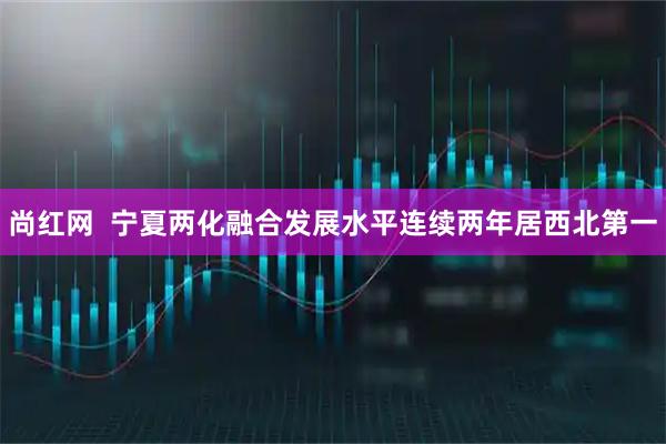 尚红网 宁夏两化融合发展水平连续两年居西北第一
