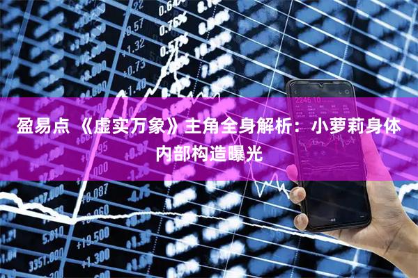 盈易点 《虚实万象》主角全身解析:小萝莉身体内部构造曝光