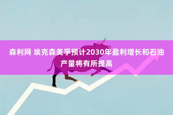 森利网 埃克森美孚预计2030年盈利增长和石油产量将有所提高