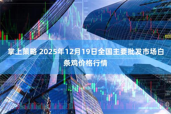掌上策略 2025年12月19日全国主要批发市场白条鸡价格行情
