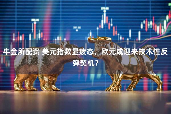 牛金所配资 美元指数显疲态,欧元或迎来技术性反弹契机?